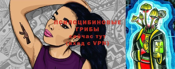 соль ск Алексин